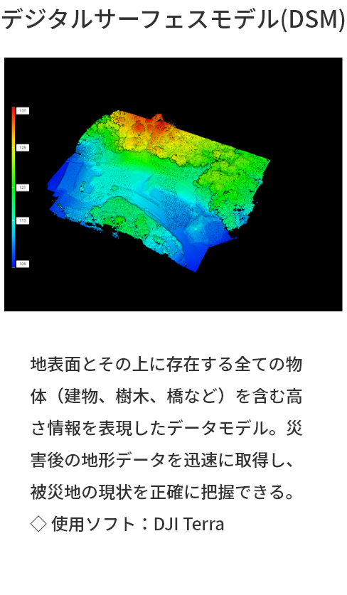 デジタルサーフェスモデル(DSM)